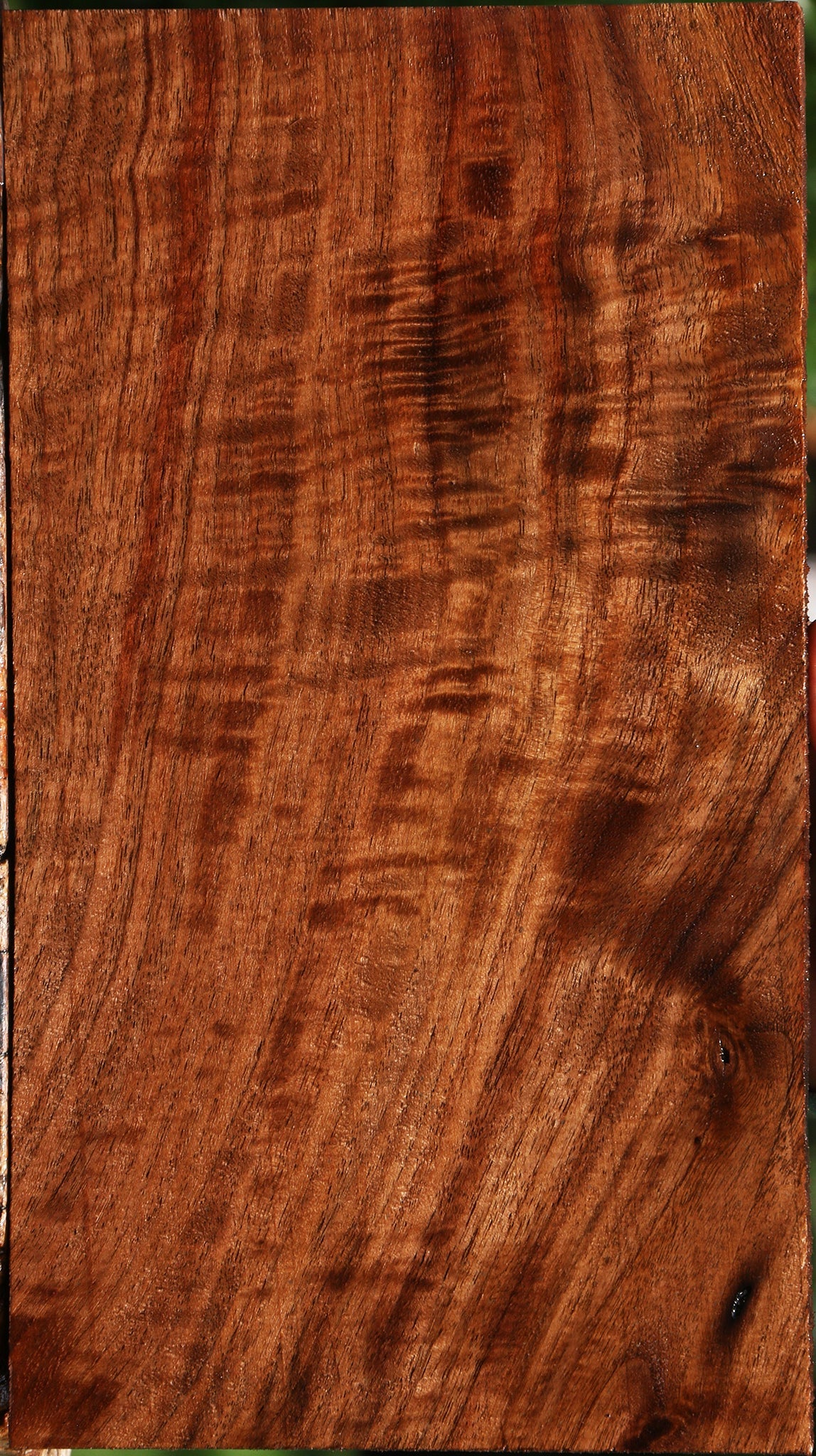 Extra Fancy Claro Walnut Lumber