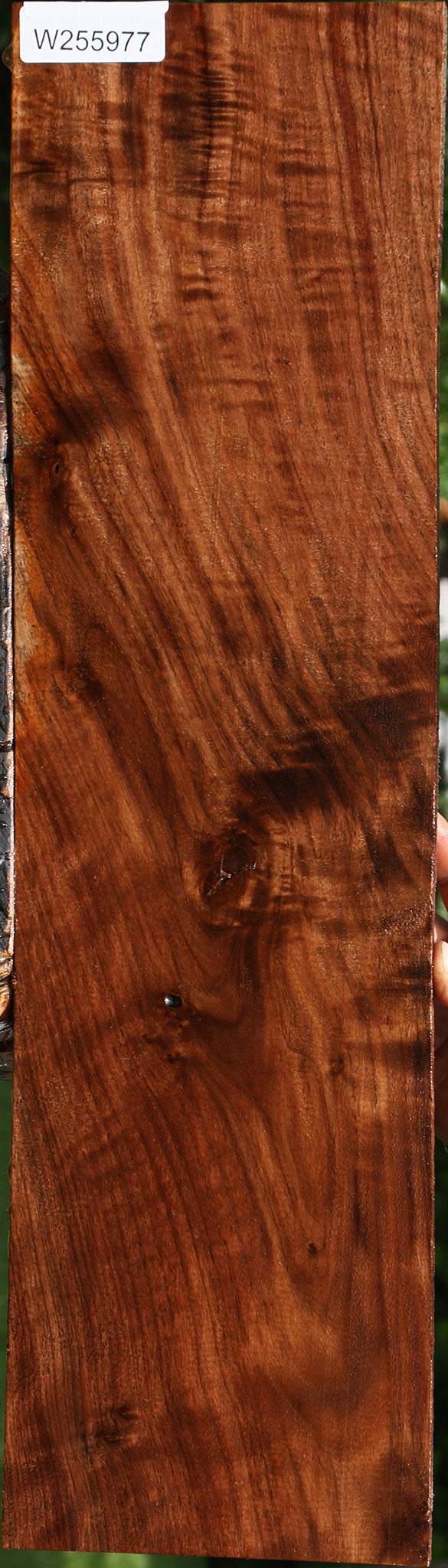 Extra Fancy Claro Walnut Lumber