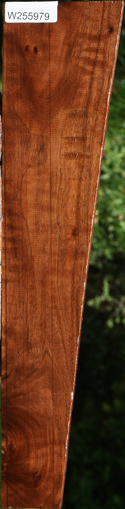 Figured Claro Walnut Lumber