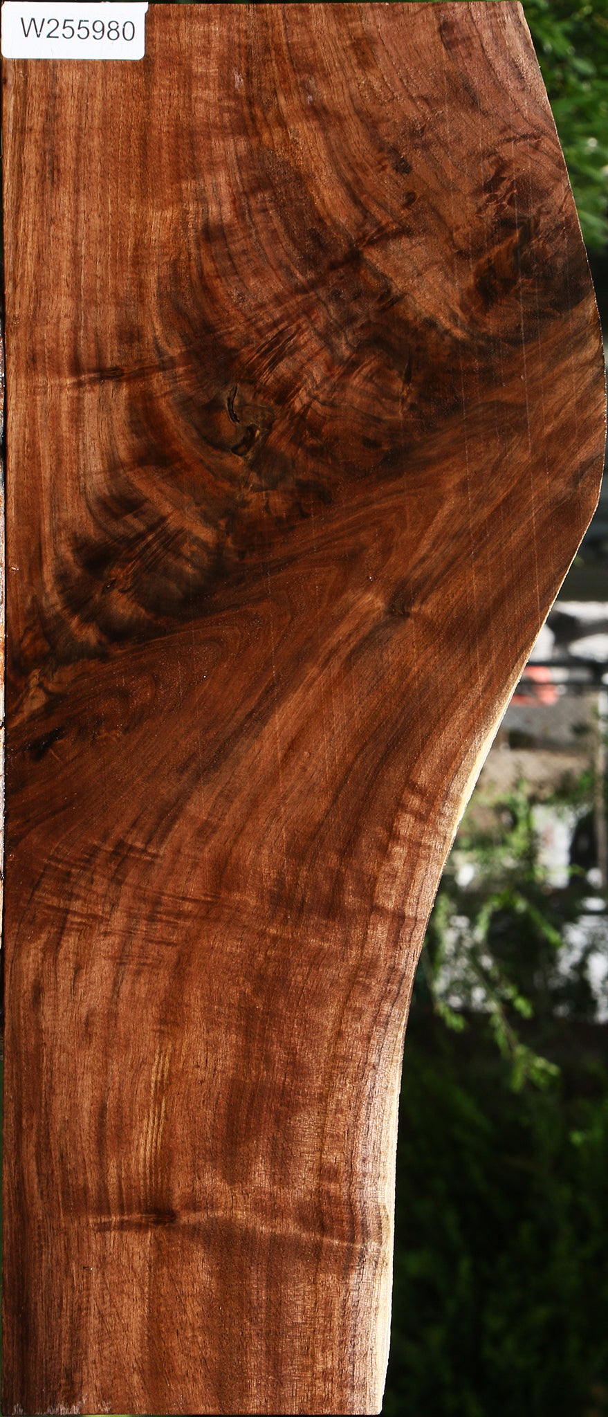 Extra Fancy Claro Walnut Lumber
