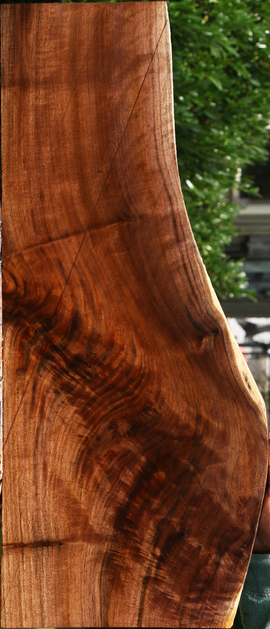 Extra Fancy Claro Walnut Lumber