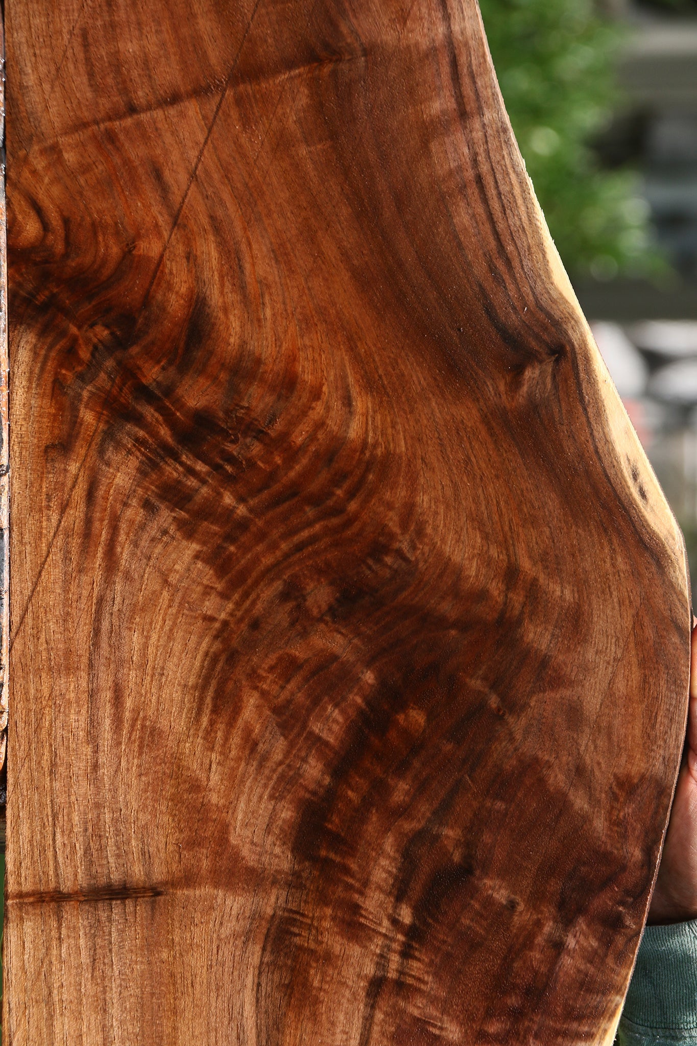 Extra Fancy Claro Walnut Lumber