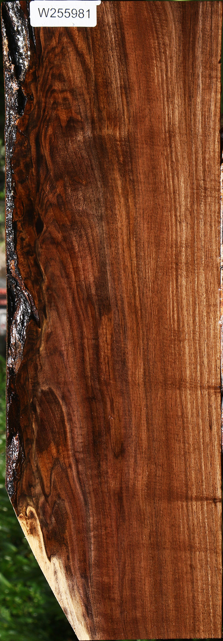 Claro Walnut Live Edge Lumber