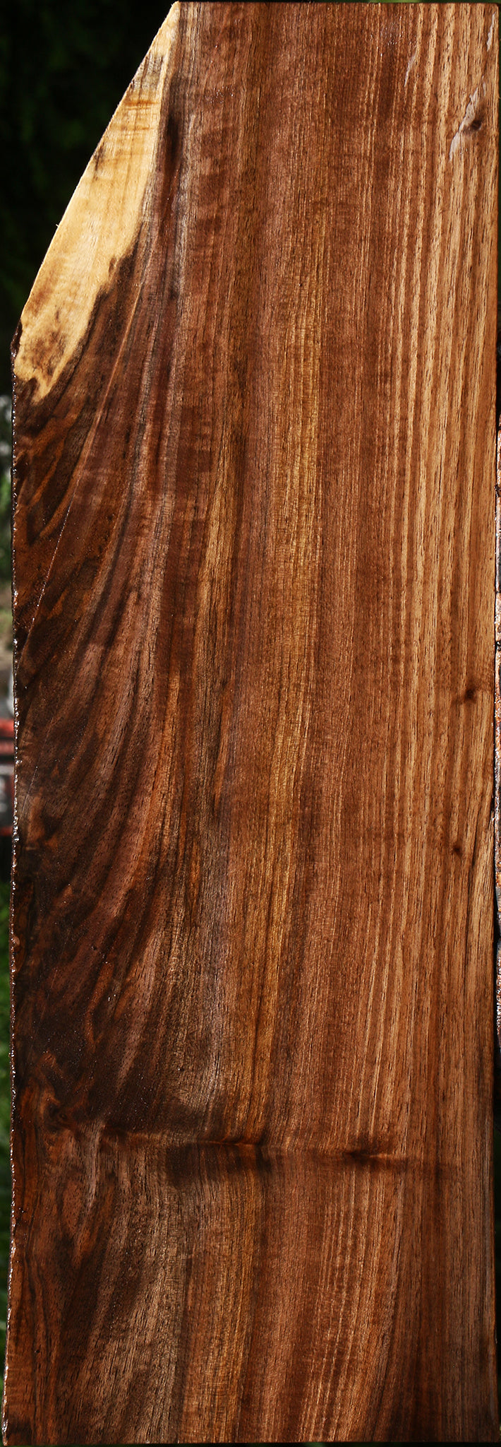 Claro Walnut Live Edge Lumber