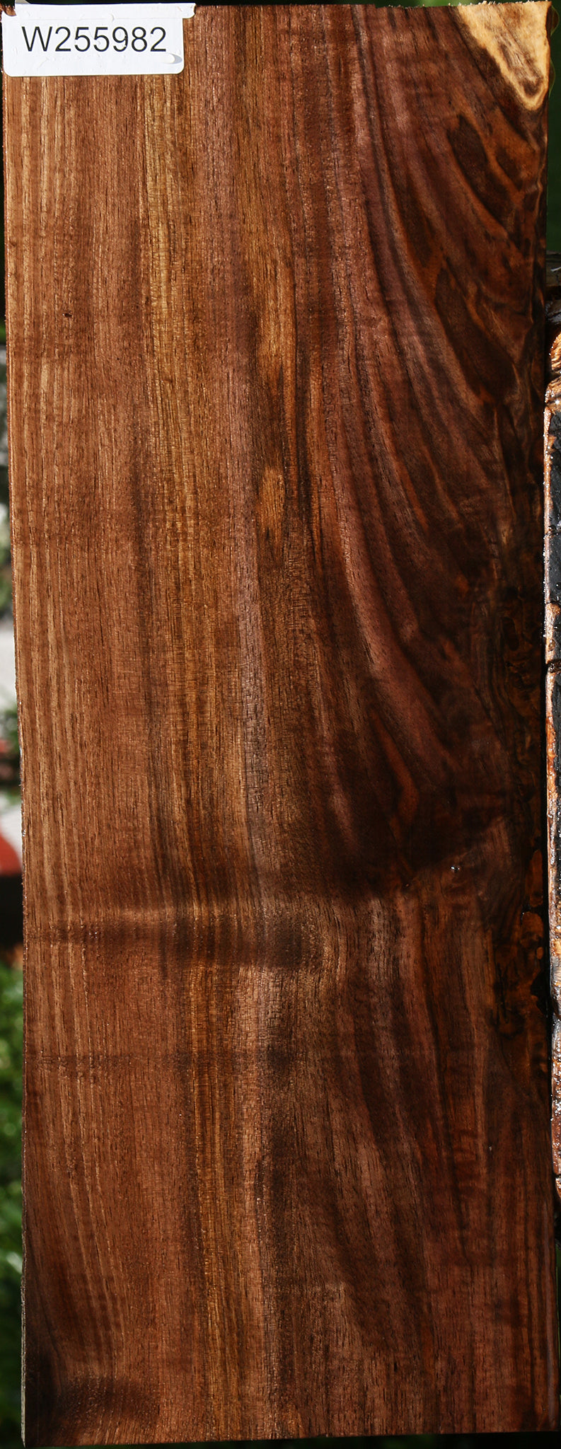 Figured Claro Walnut Lumber
