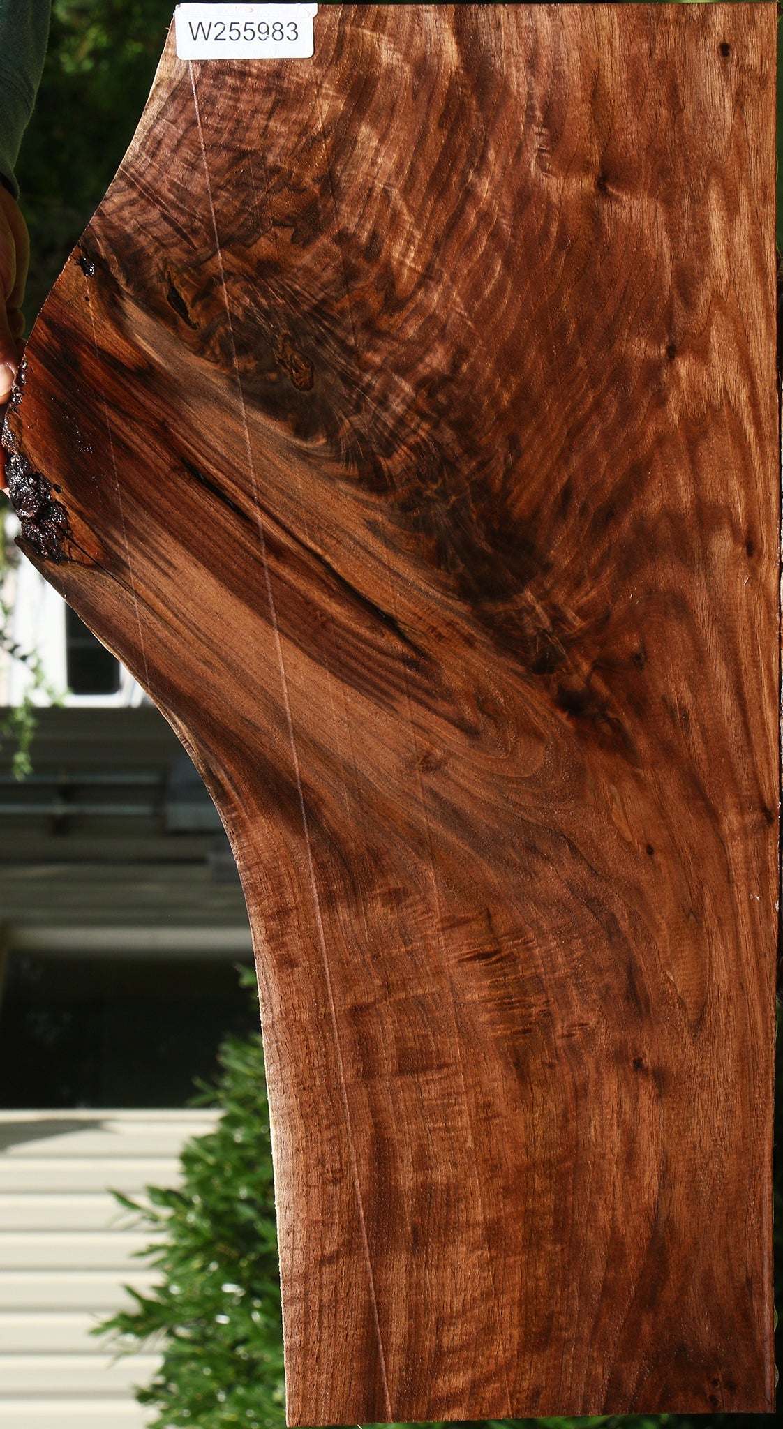 Extra Fancy Claro Walnut Lumber