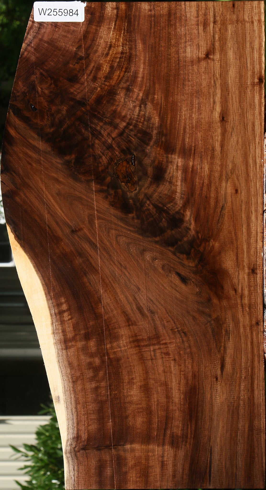 Extra Fancy Claro Walnut Lumber