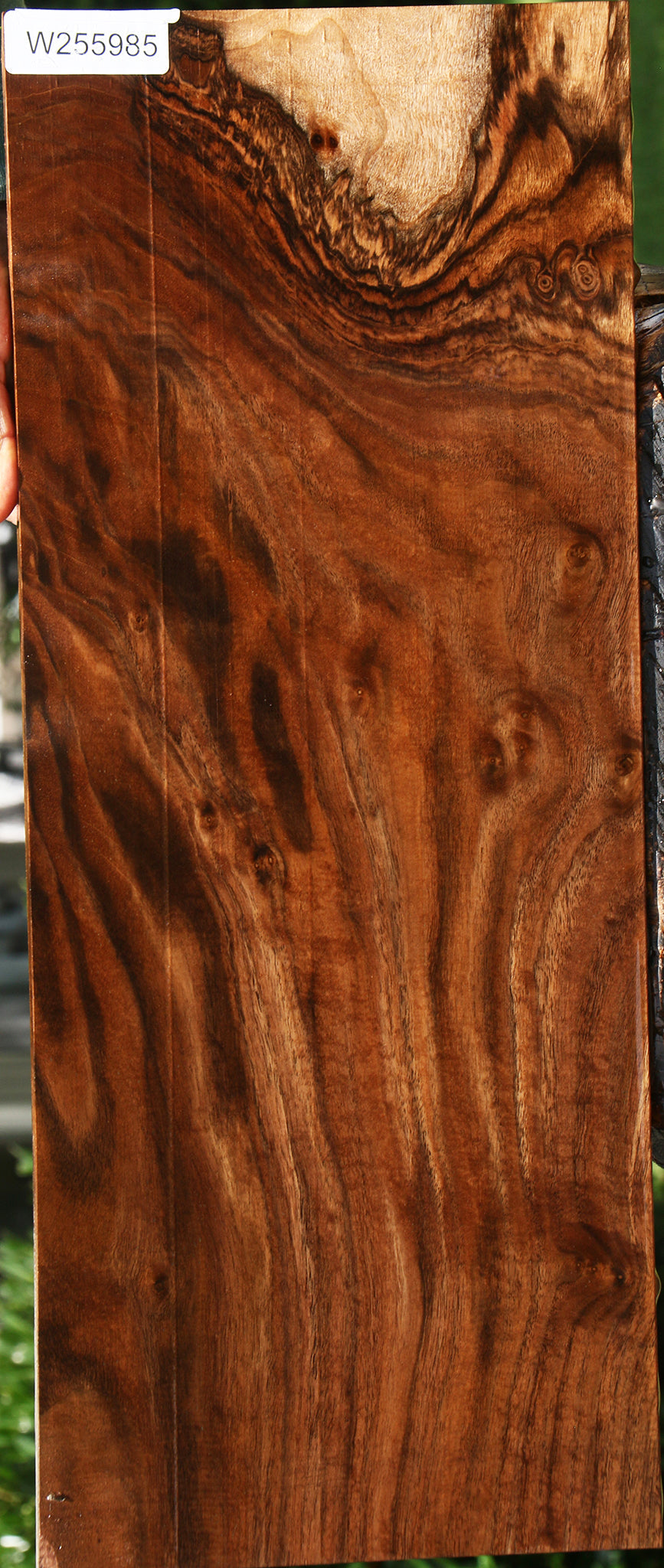 Figured Claro Walnut Micro Lumber