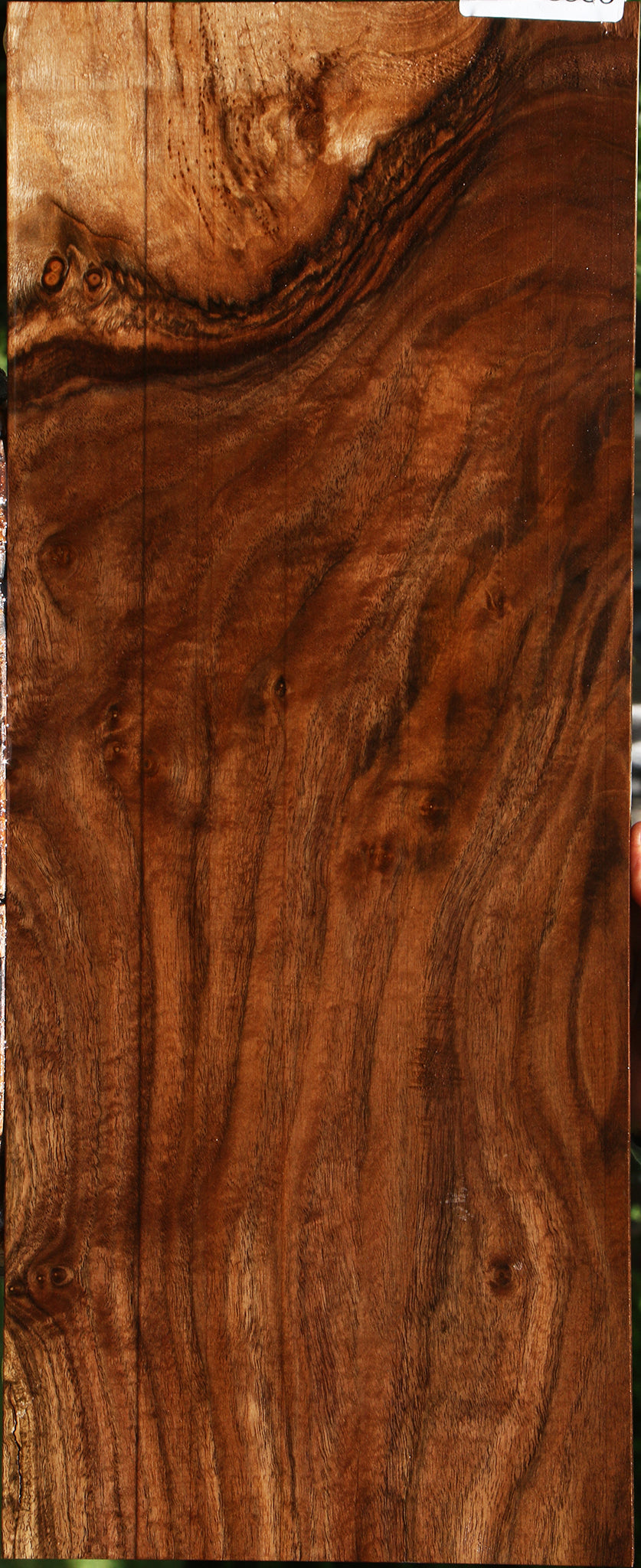 Figured Claro Walnut Micro Lumber