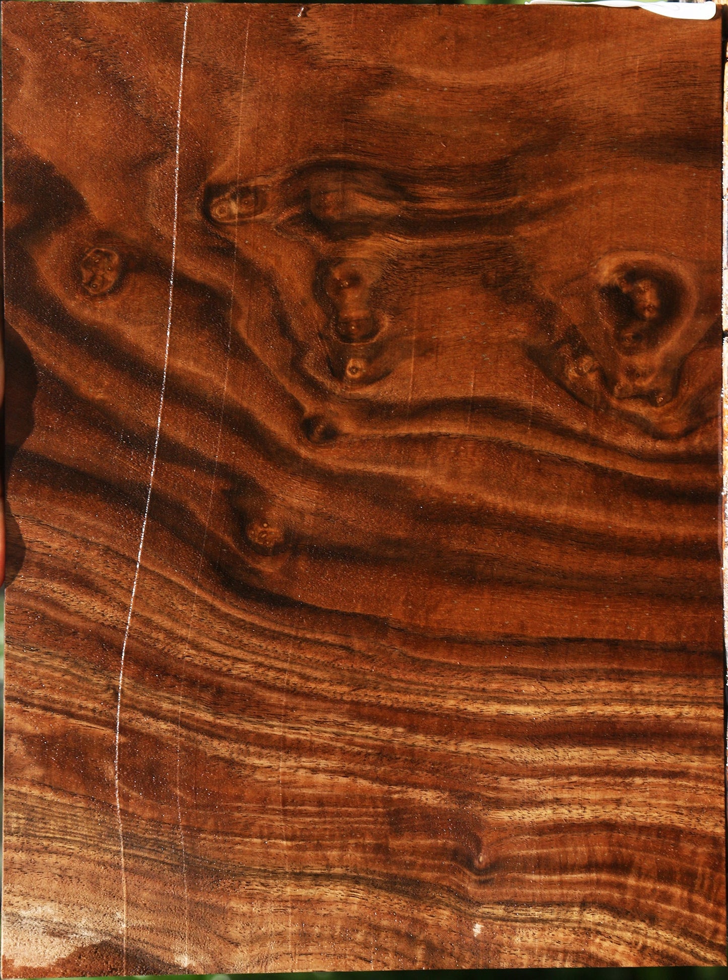 Figured Claro Walnut Micro Lumber