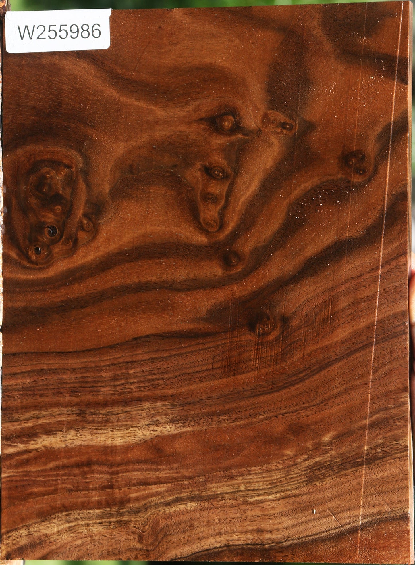 Figured Claro Walnut Micro Lumber