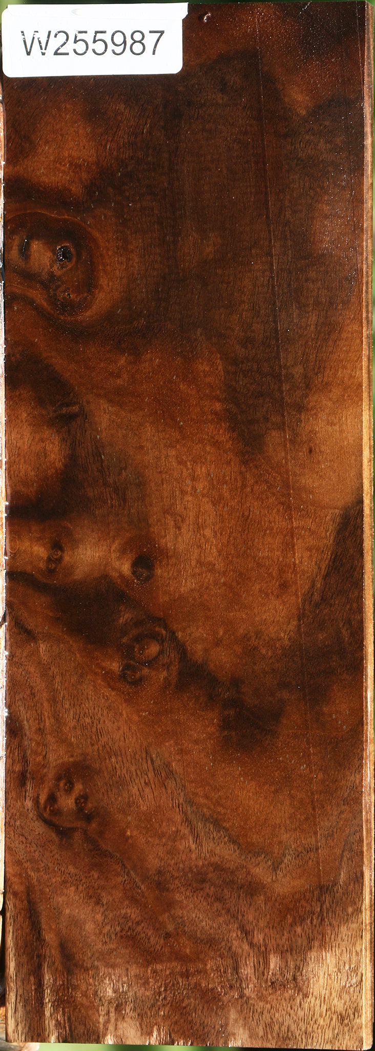 Figured Claro Walnut Lumber
