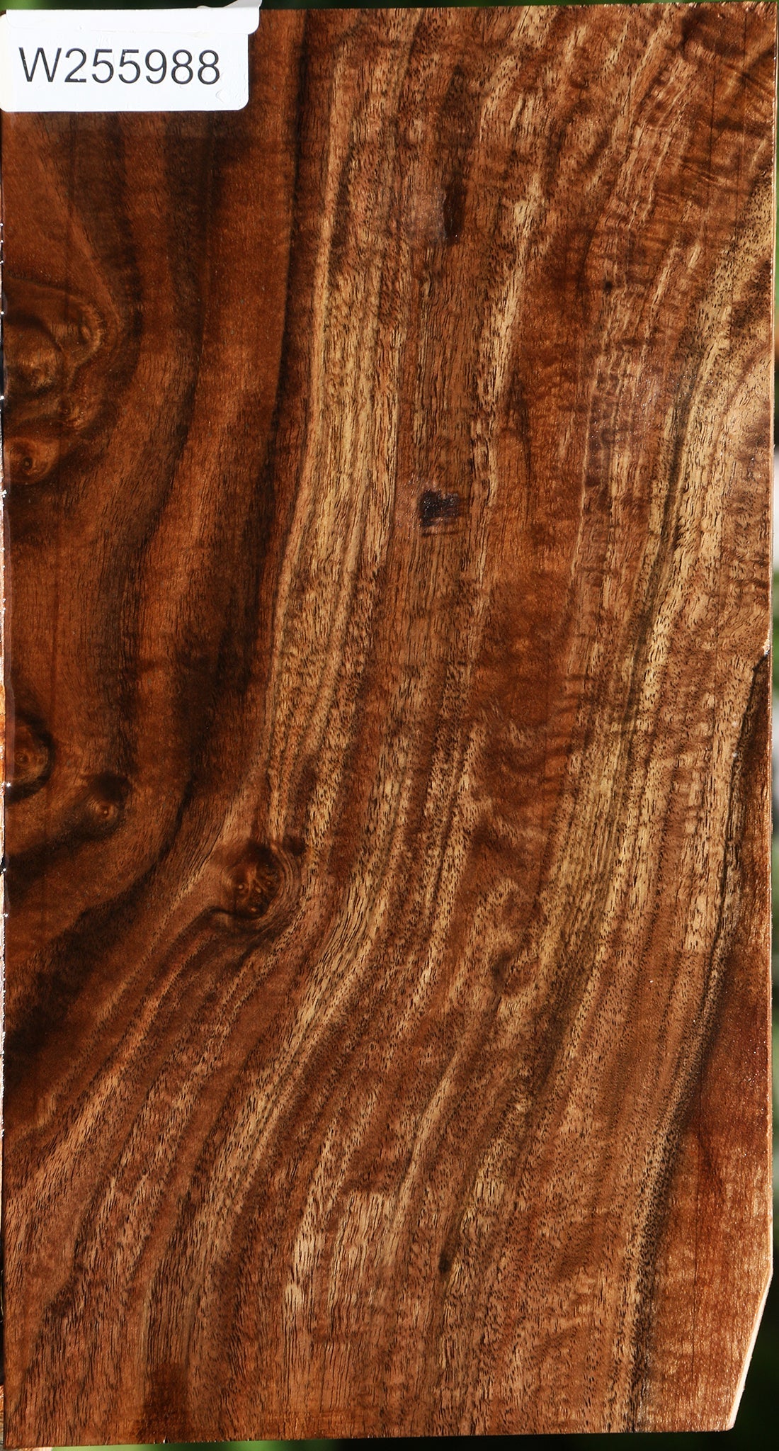 Figured Claro Walnut Lumber