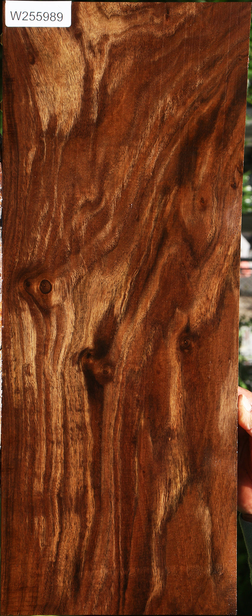 Figured Claro Walnut Micro Lumber