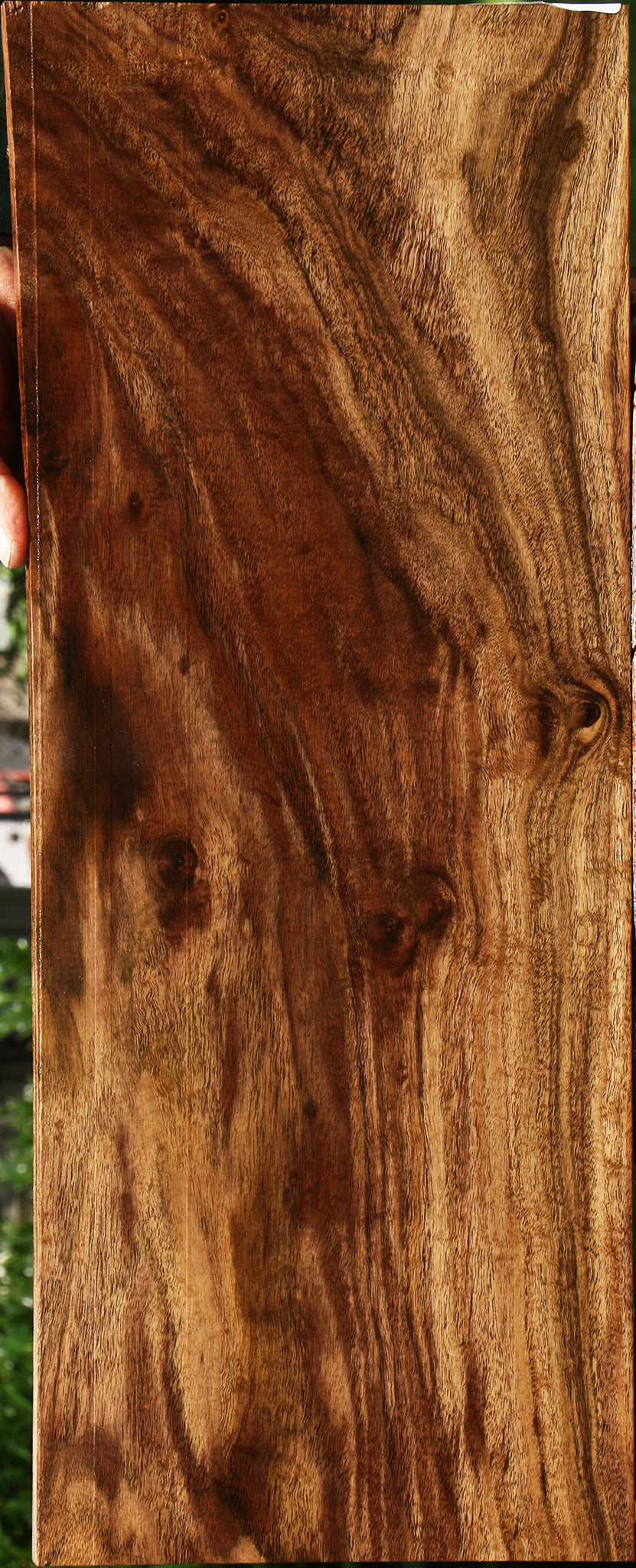 Figured Claro Walnut Micro Lumber