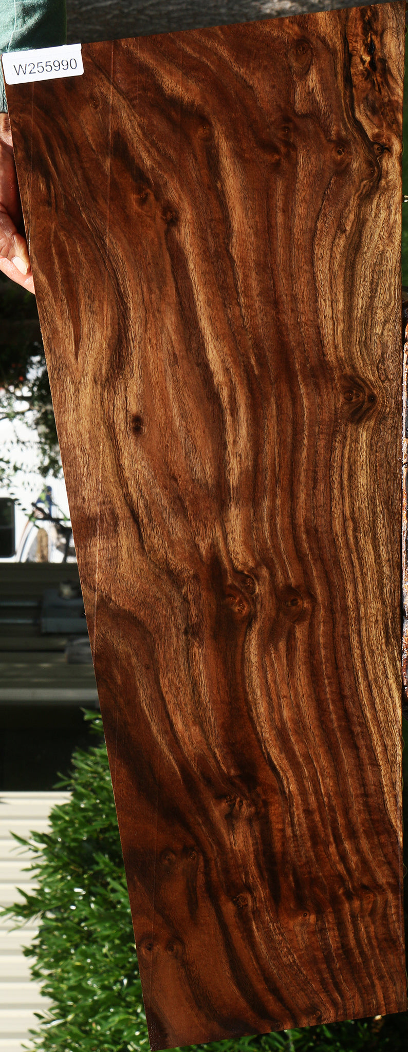 Extra Fancy Claro Walnut Lumber