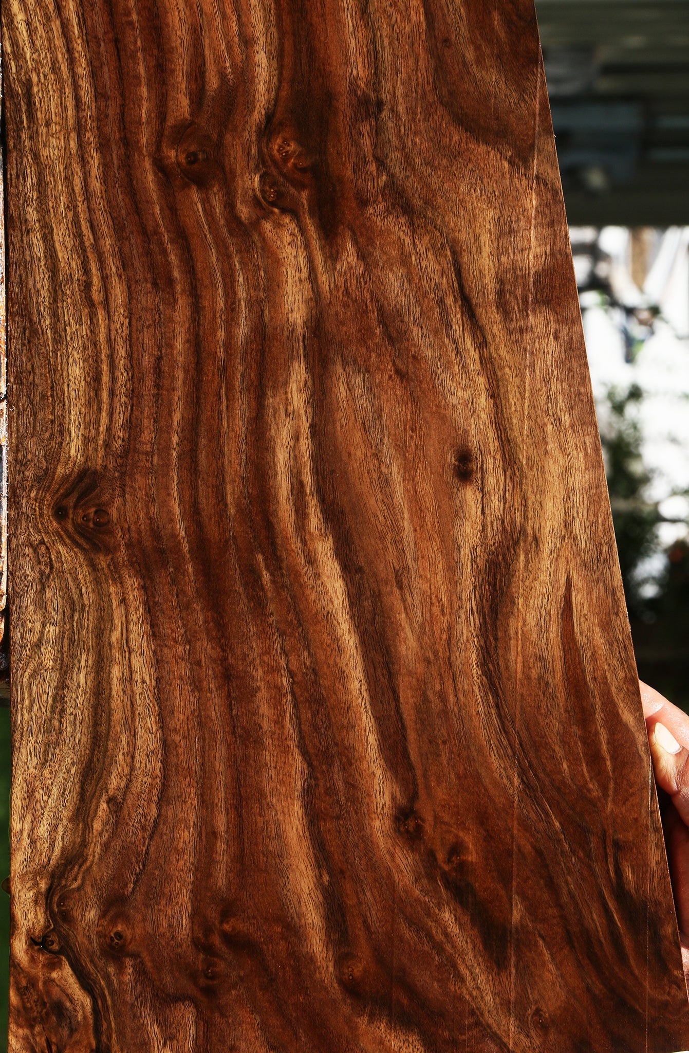 Extra Fancy Claro Walnut Lumber