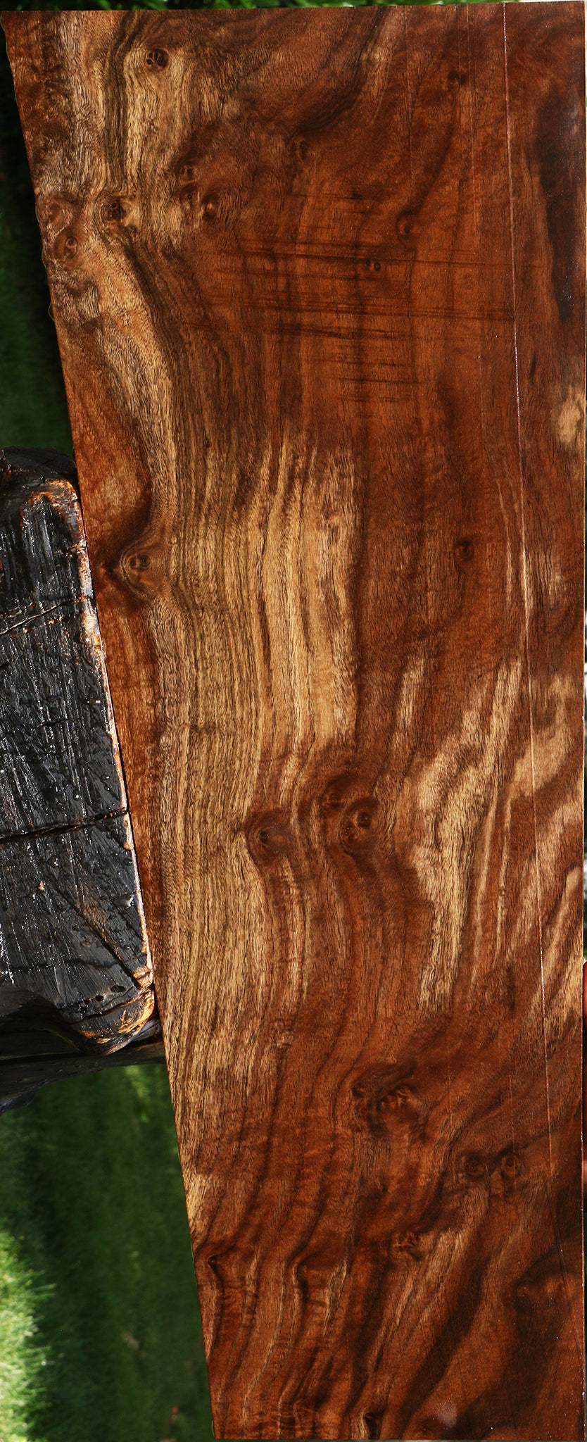 Extra Fancy Claro Walnut Lumber