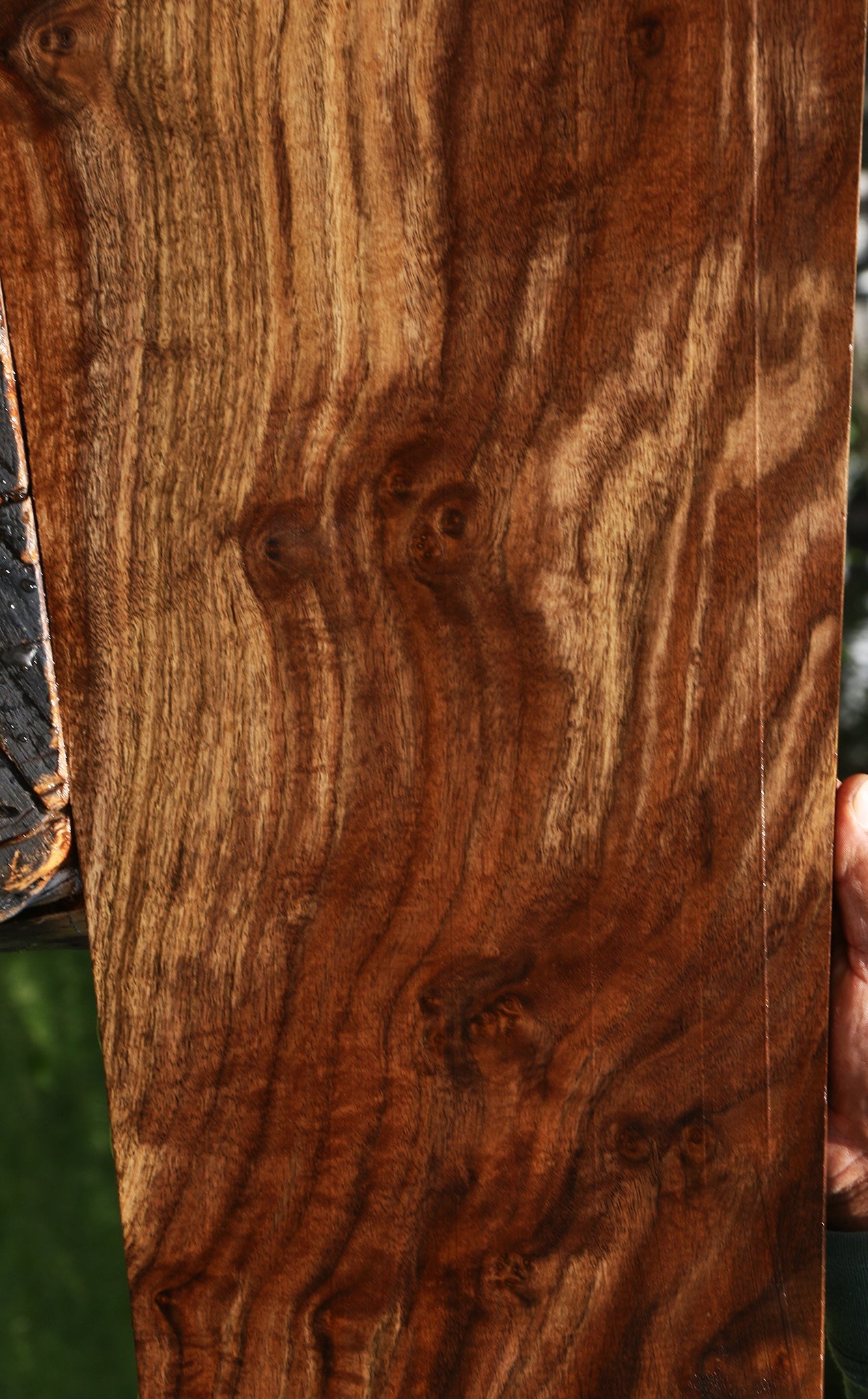 Extra Fancy Claro Walnut Lumber