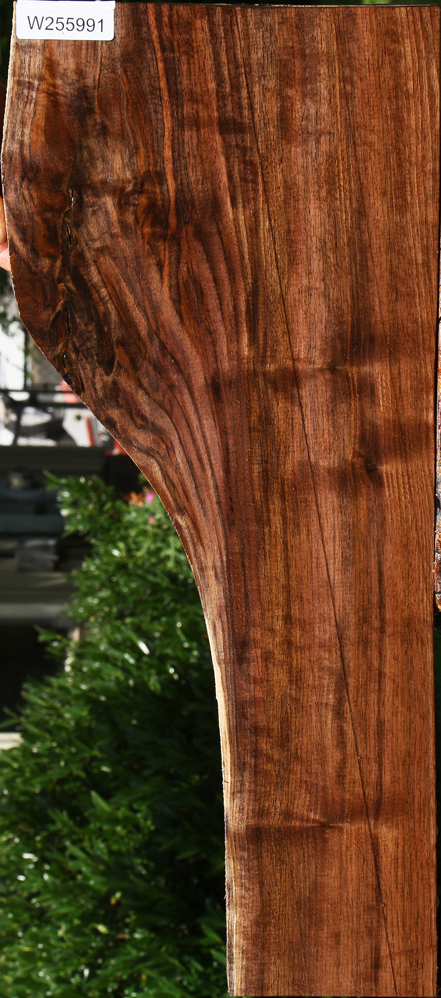 Extra Fancy Claro Walnut Lumber