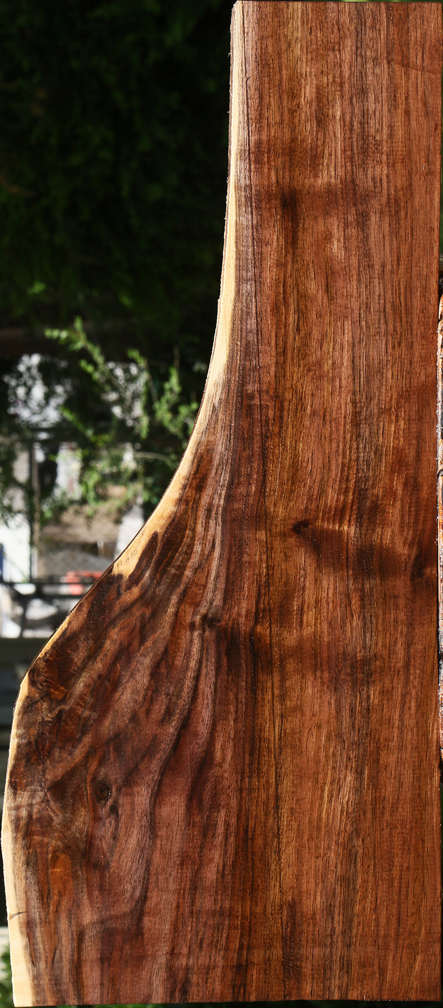 Extra Fancy Claro Walnut Lumber