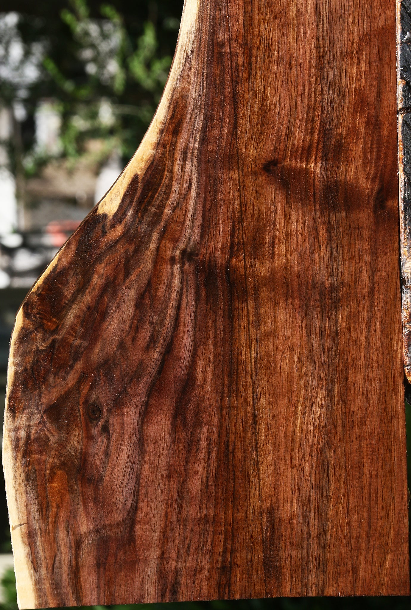 Extra Fancy Claro Walnut Lumber