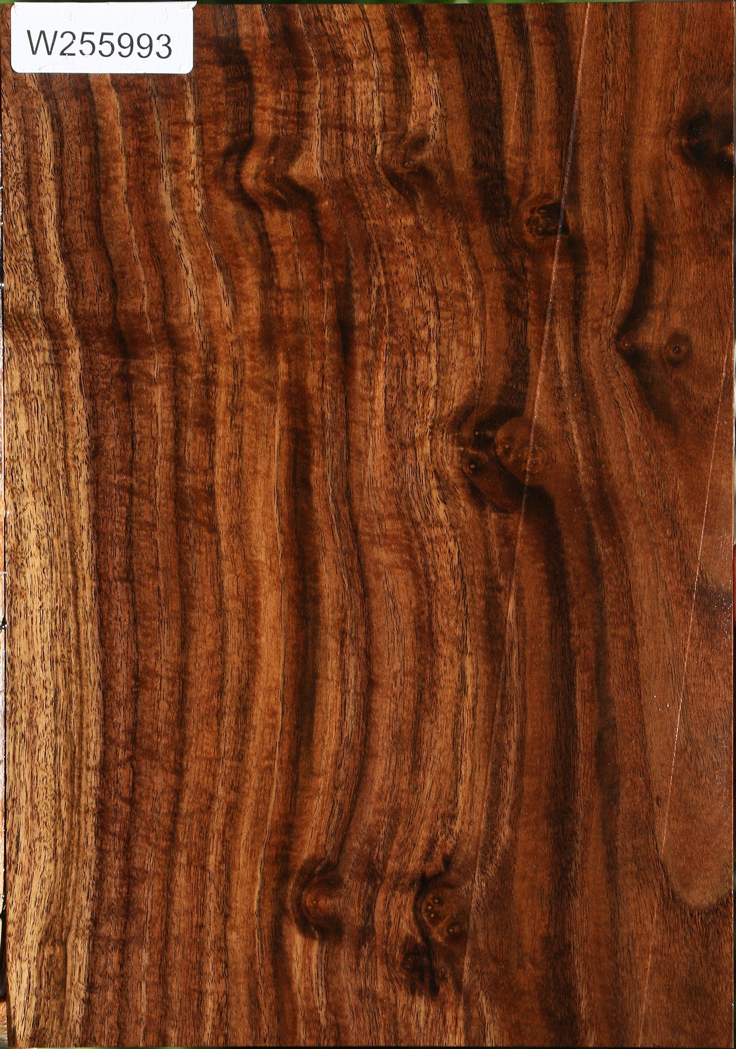 Extra Fancy Claro Walnut Micro Lumber