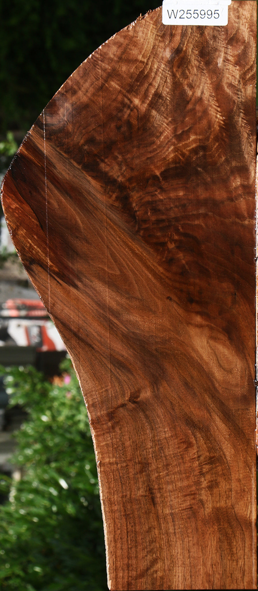 Extra Fancy Claro Walnut Lumber
