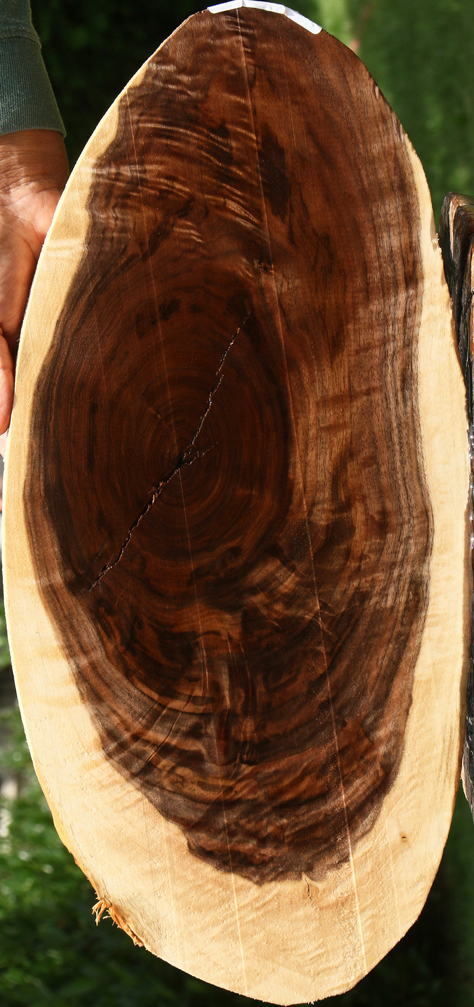 Extra Fancy Rustic Claro Walnut Cookie