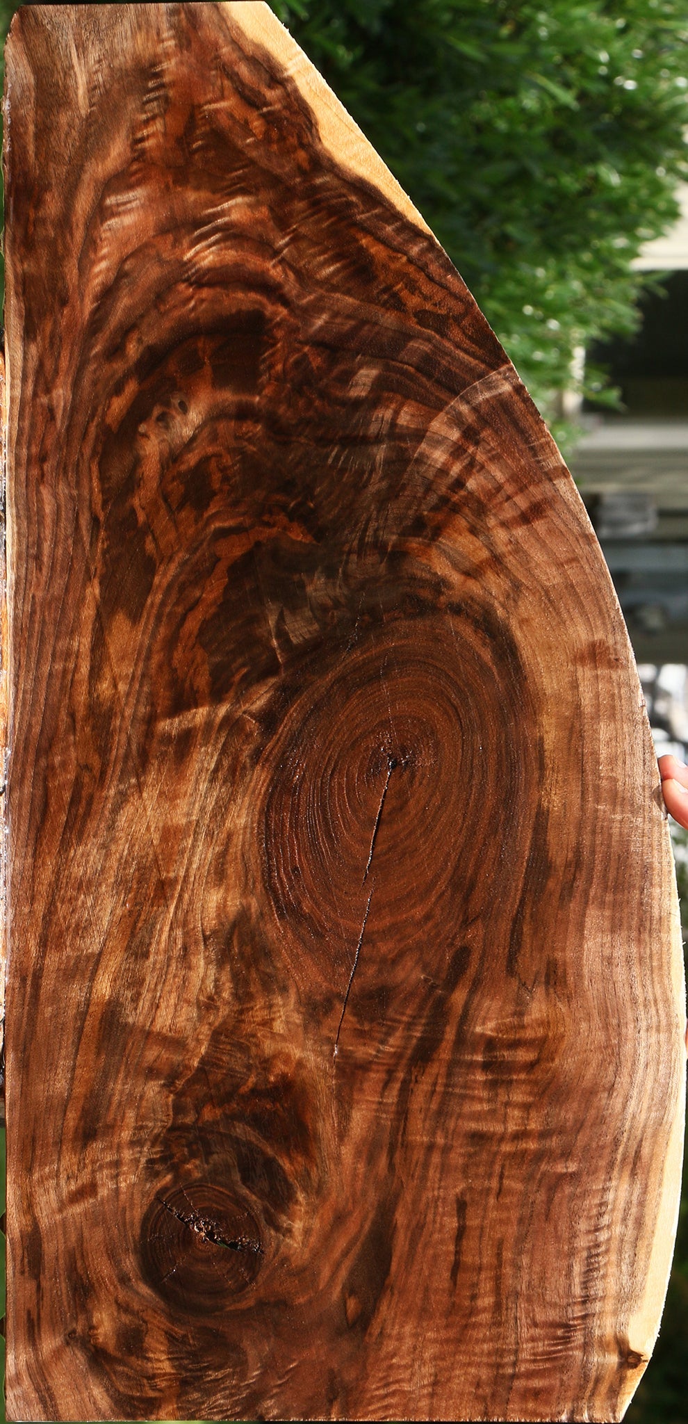 Extra Fancy Claro Walnut Lumber