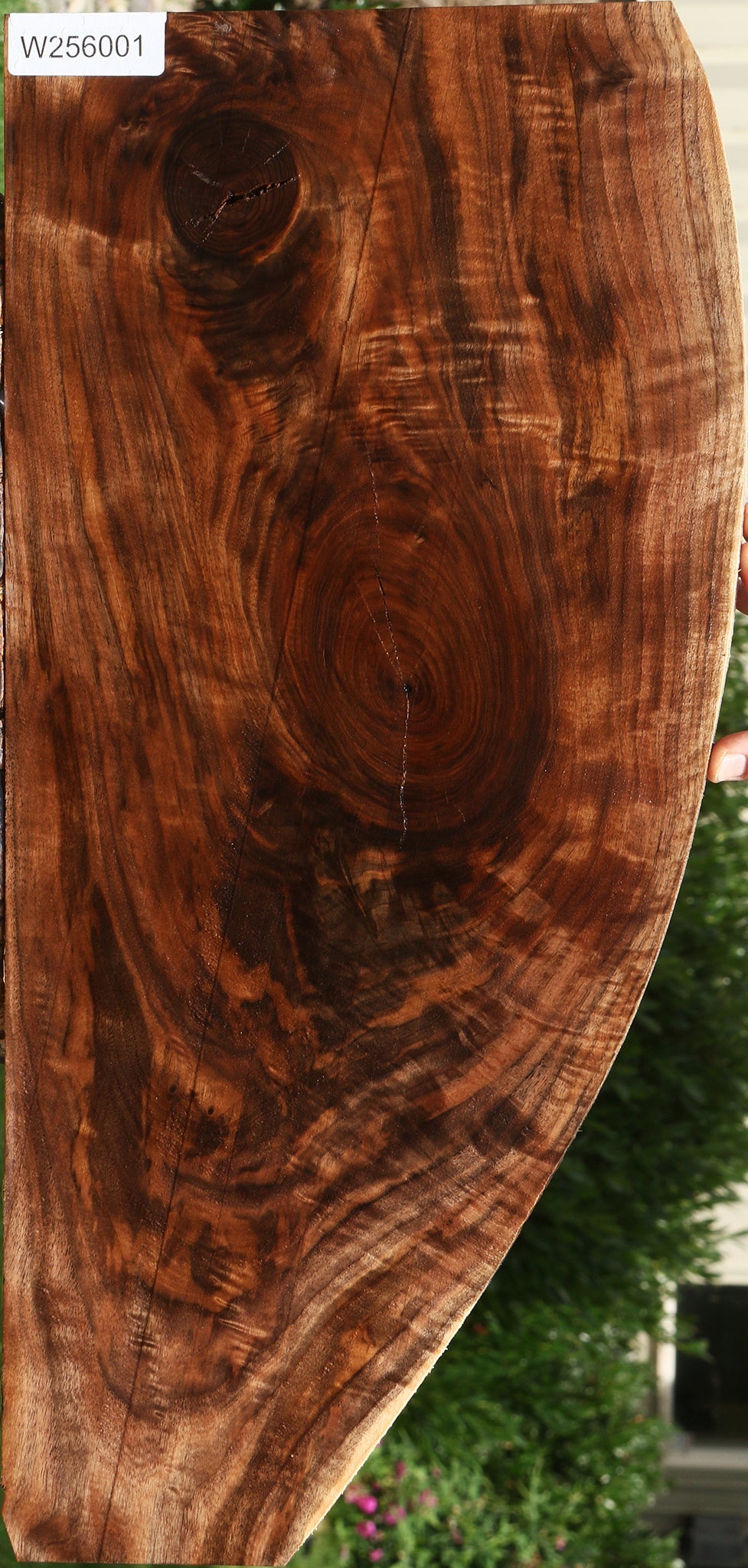 Extra Fancy Claro Walnut Lumber