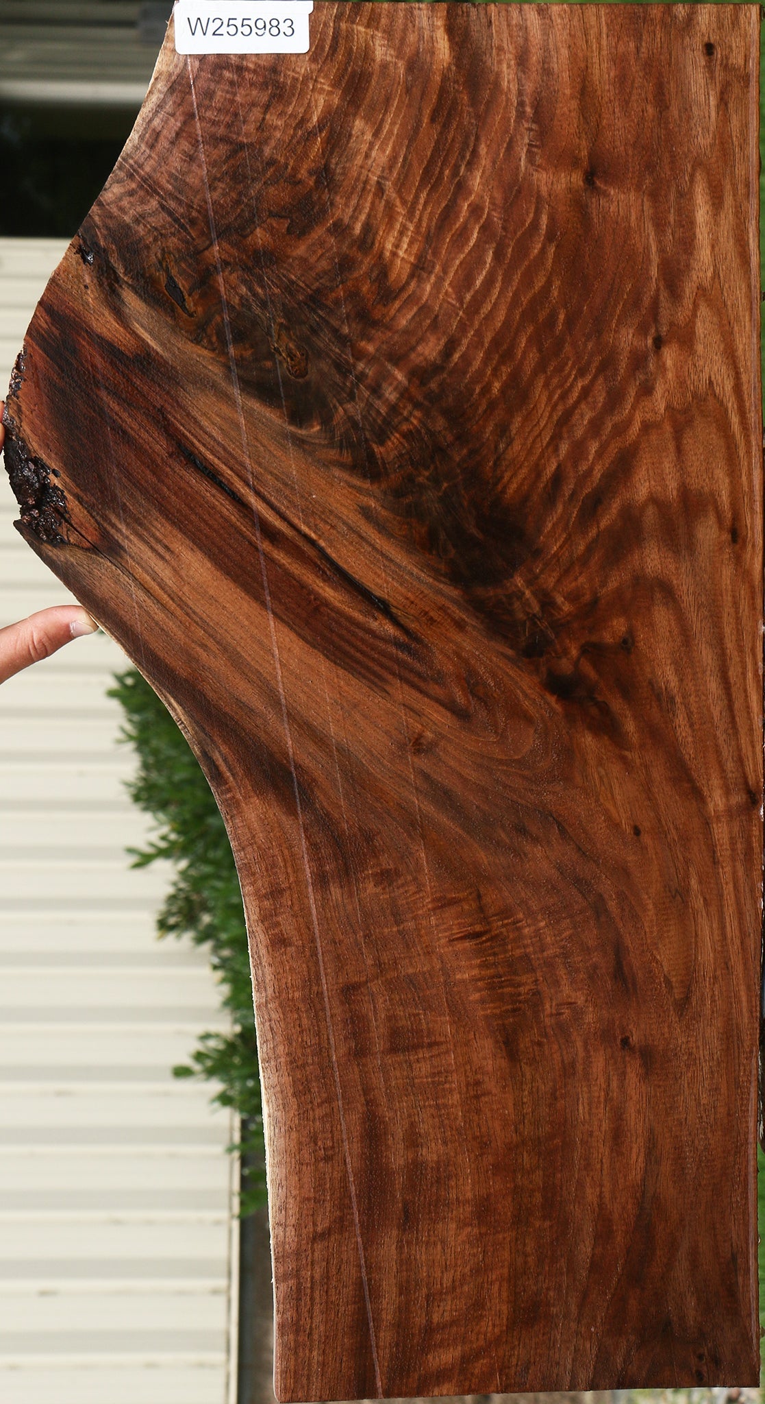 Extra Fancy Claro Walnut Lumber