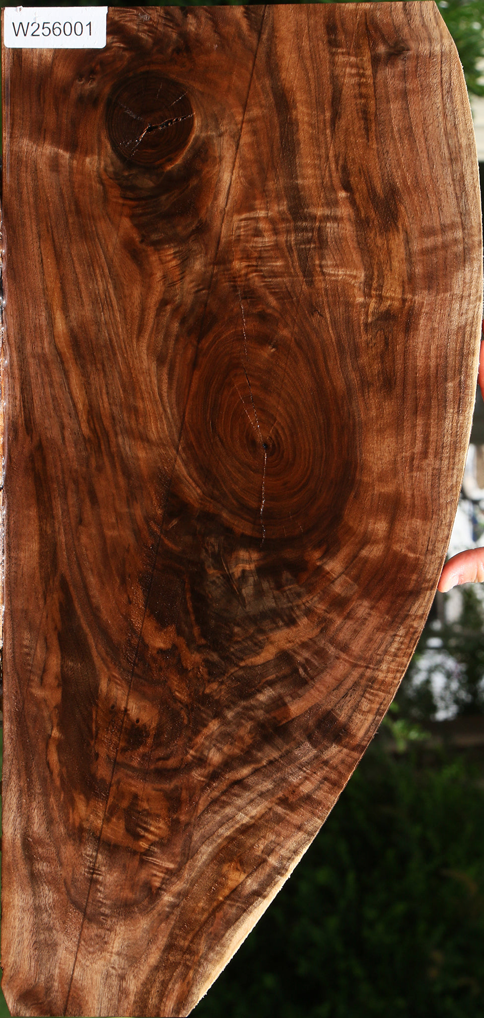 Extra Fancy Claro Walnut Lumber