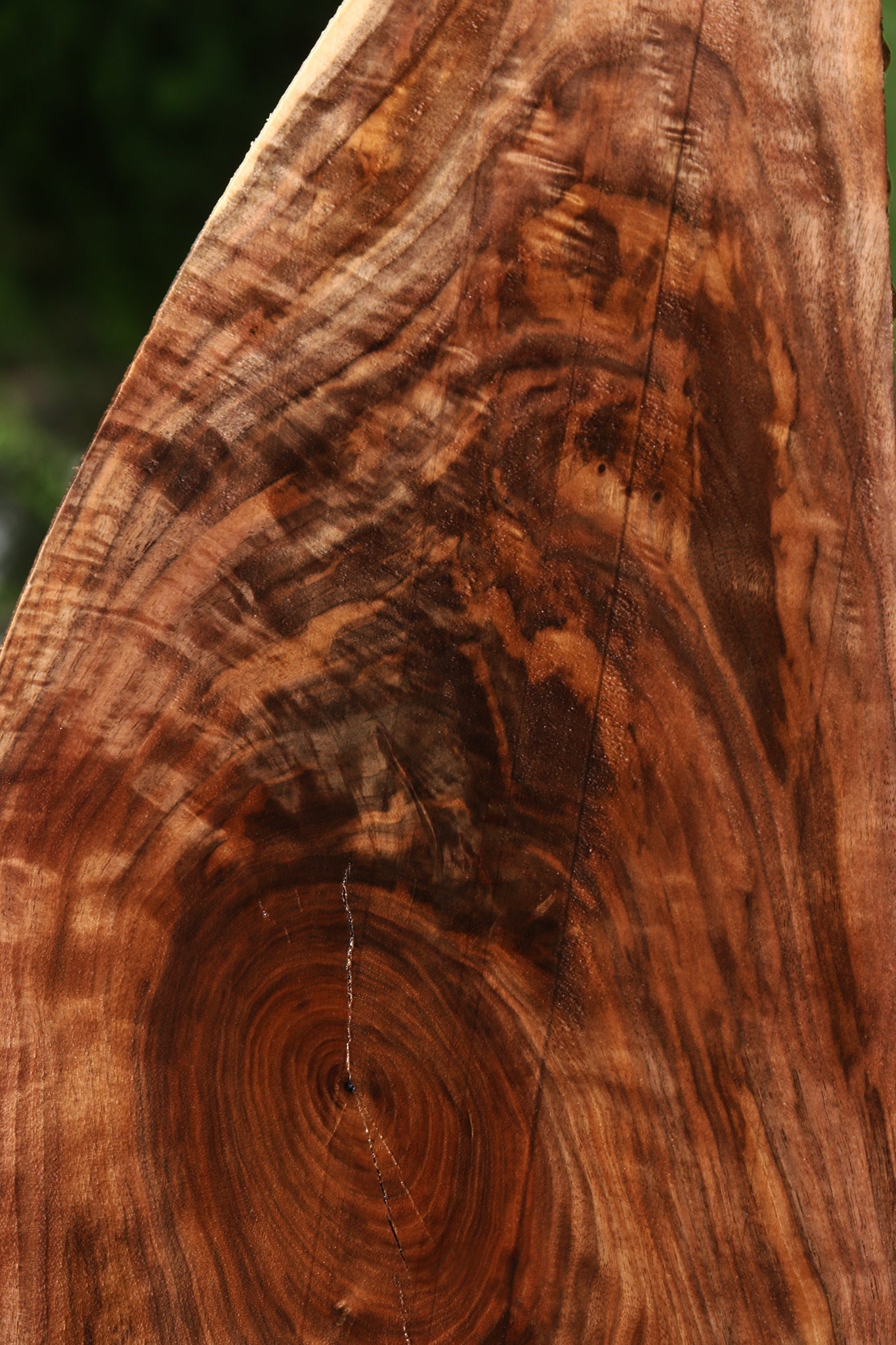 Extra Fancy Claro Walnut Lumber