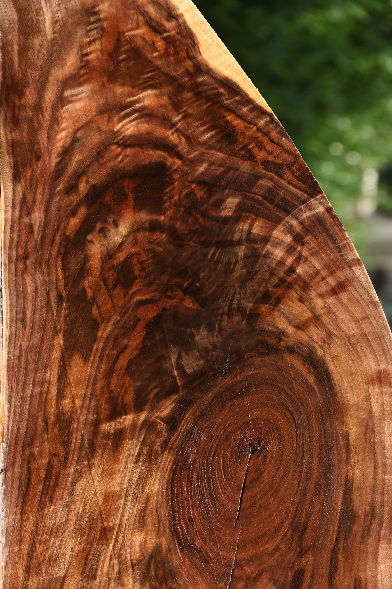 Extra Fancy Claro Walnut Lumber