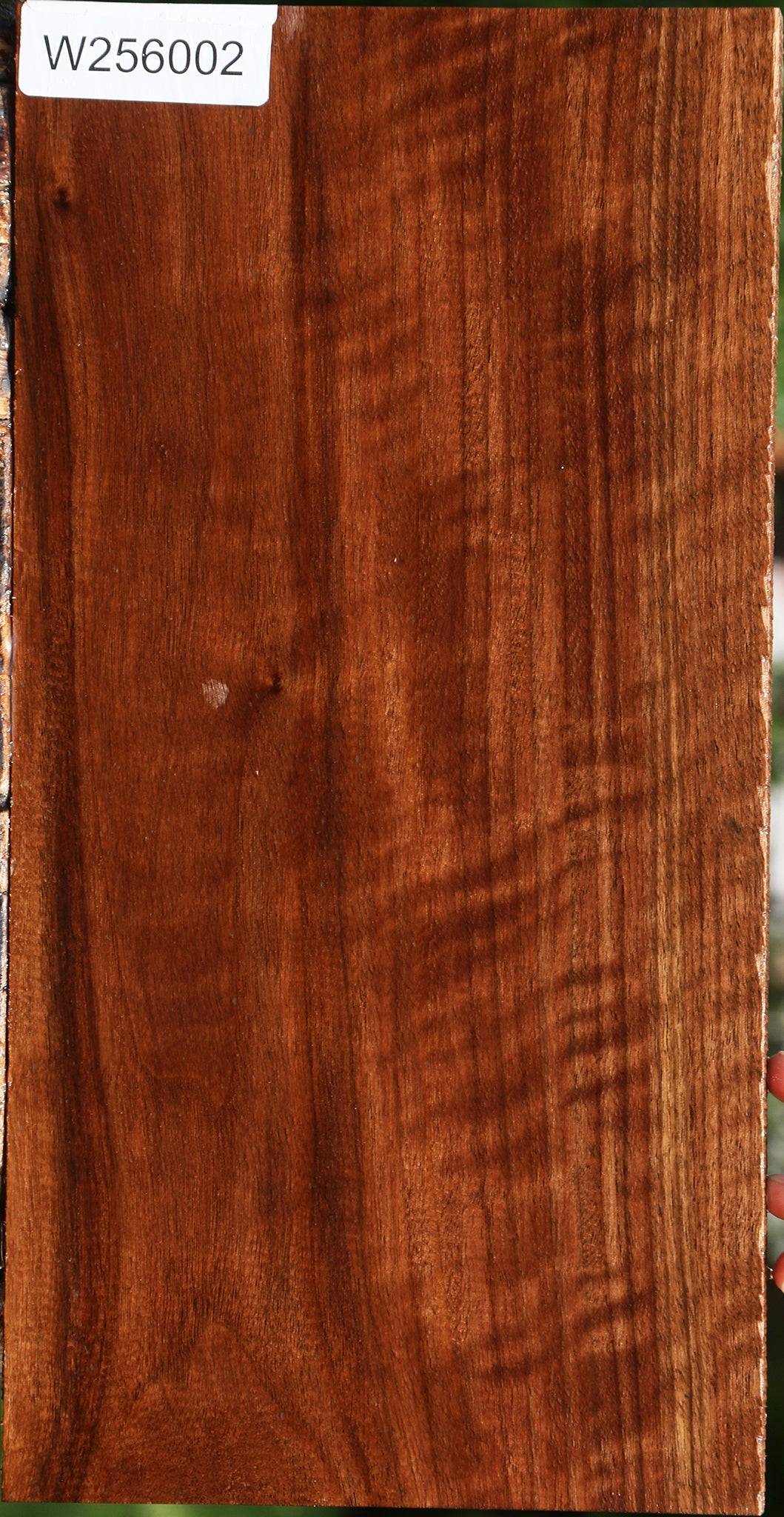 Figured Claro Walnut Lumber