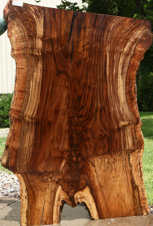 Extra Fancy Grafted Claro Walnut Live Edge Slab (Free Shipping Excluded)