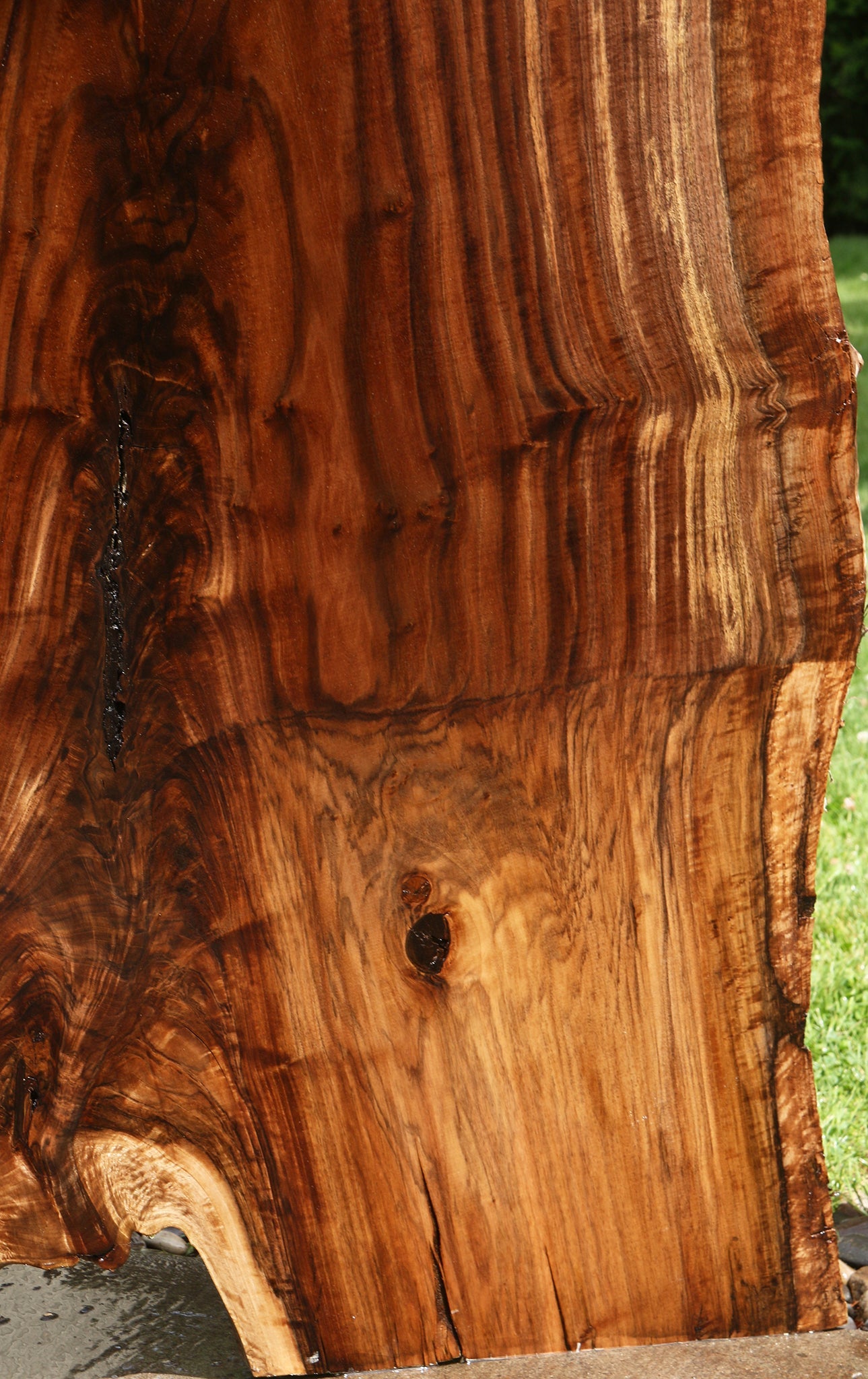 Extra Fancy Rustic Grafted Claro Walnut Live Edge Slab (Free Shipping Excluded)