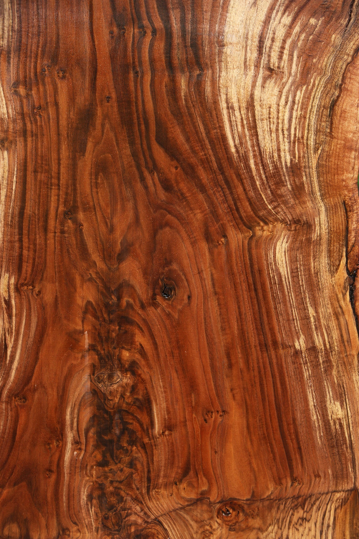 Extra Fancy Rustic Grafted Claro Walnut Live Edge Slab (Free Shipping Excluded)