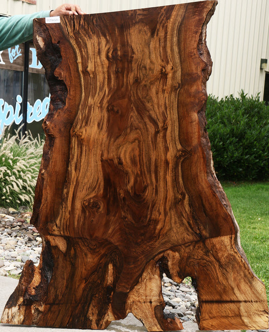 Extra Fancy Rustic Grafted Claro Walnut Live Edge Slab (Free Shipping Excluded)