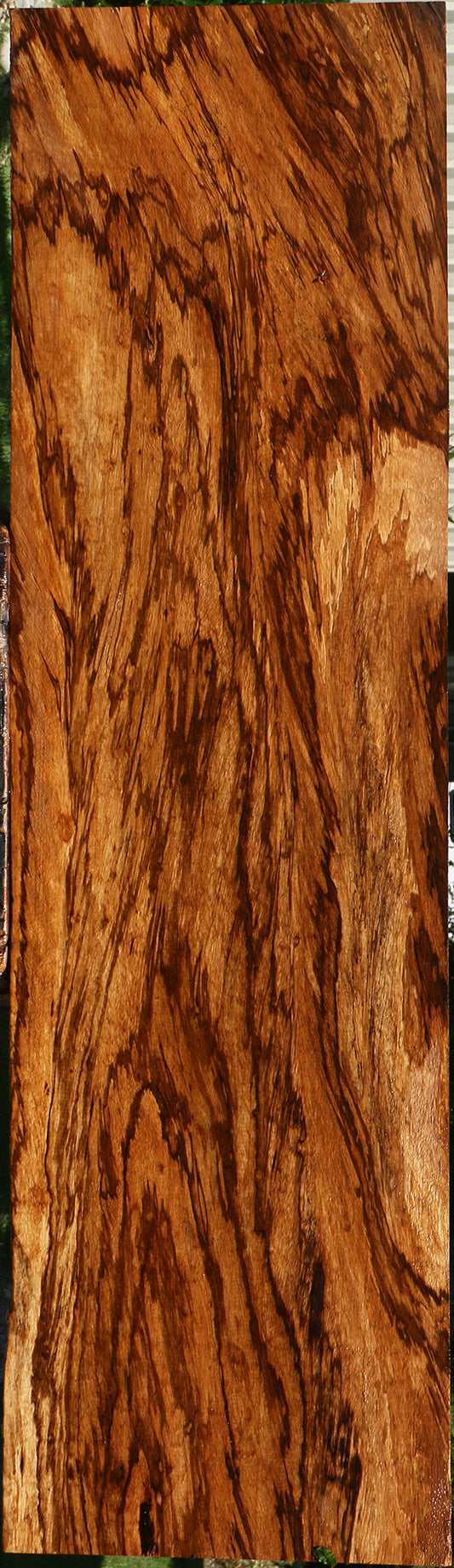 Extra Fancy Zebrawood Lumber