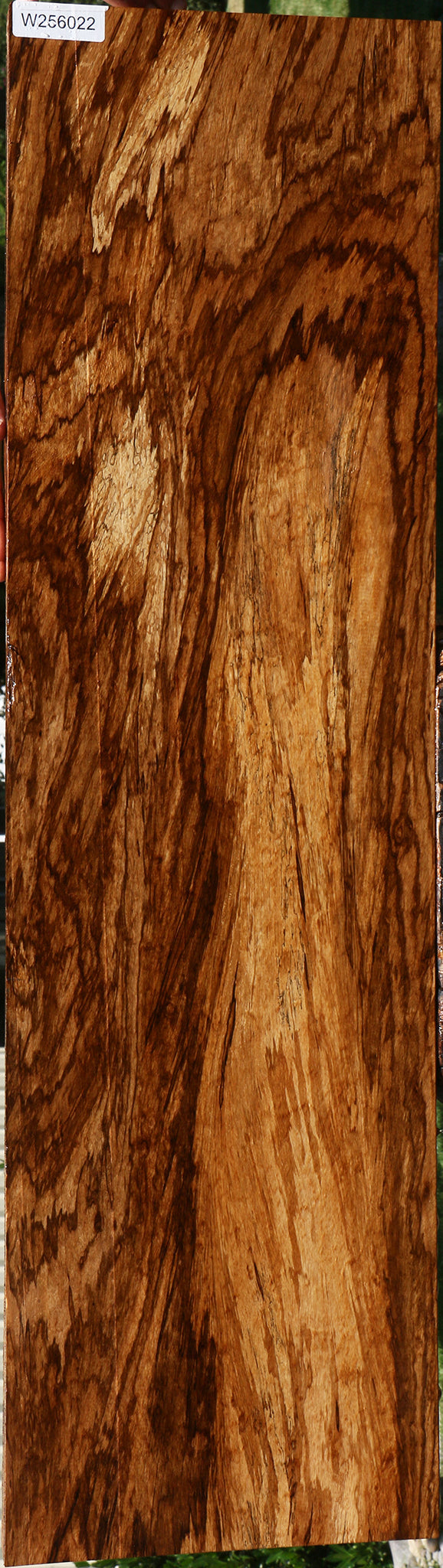Extra Fancy Zebrawood Lumber