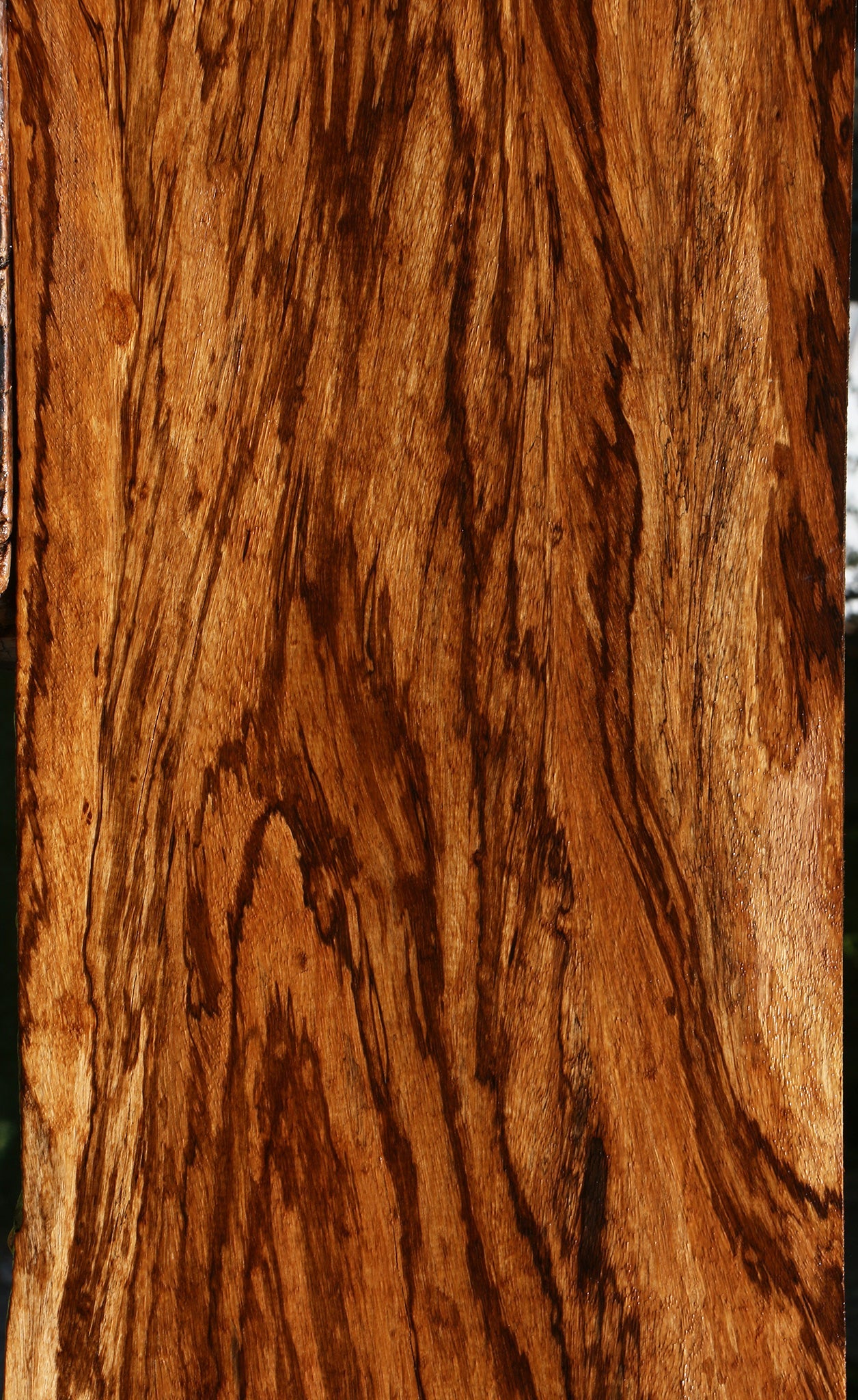 Extra Fancy Zebrawood Lumber