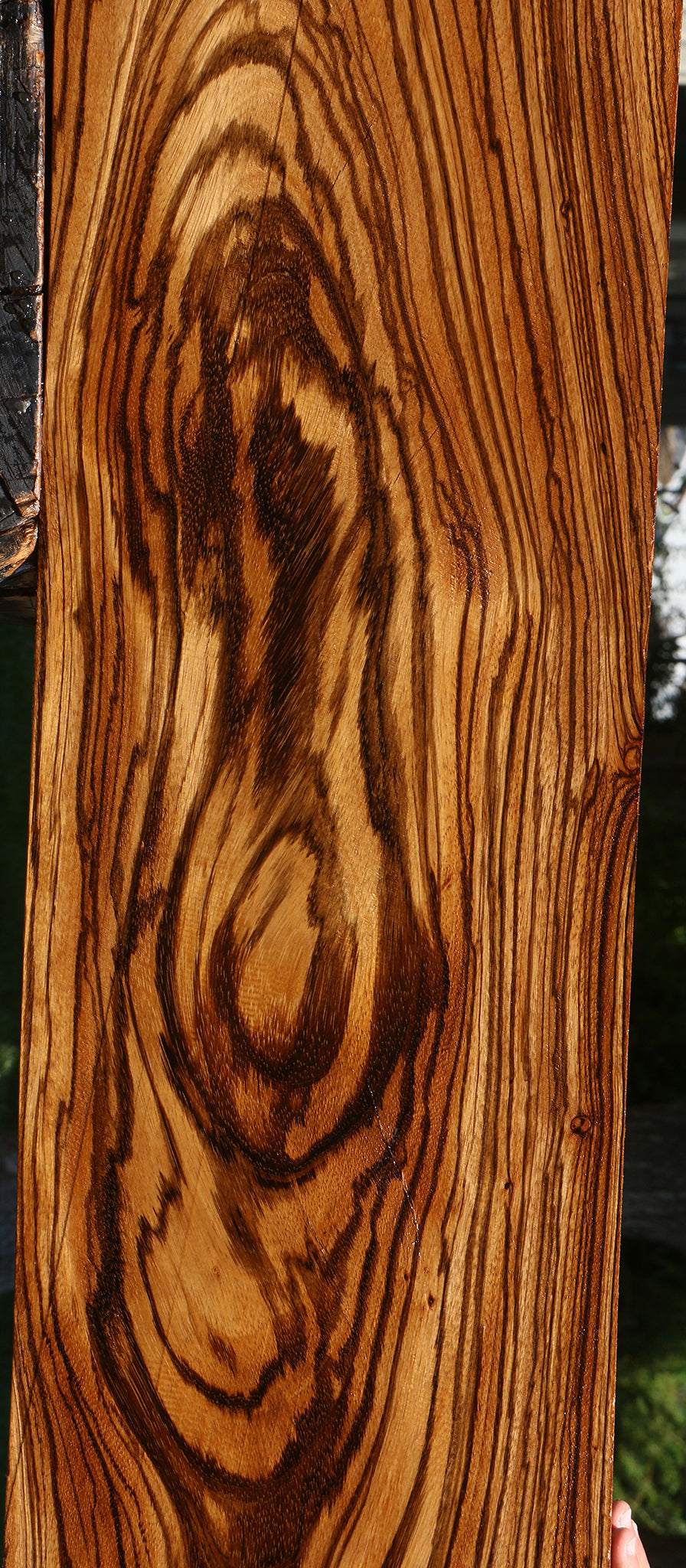 Figured Zebrawood Lumber