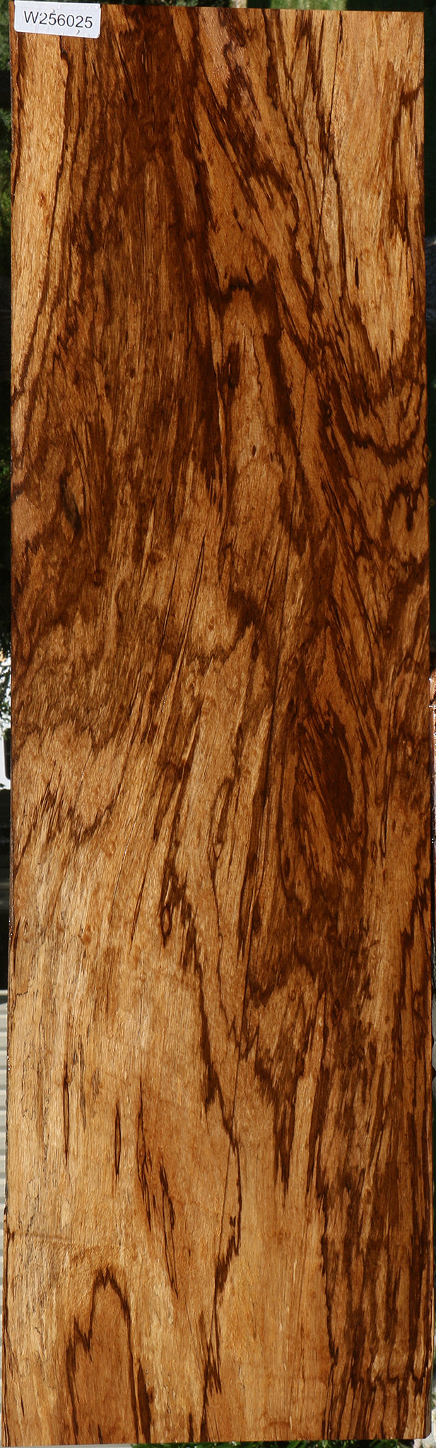 Extra Fancy Zebrawood Lumber