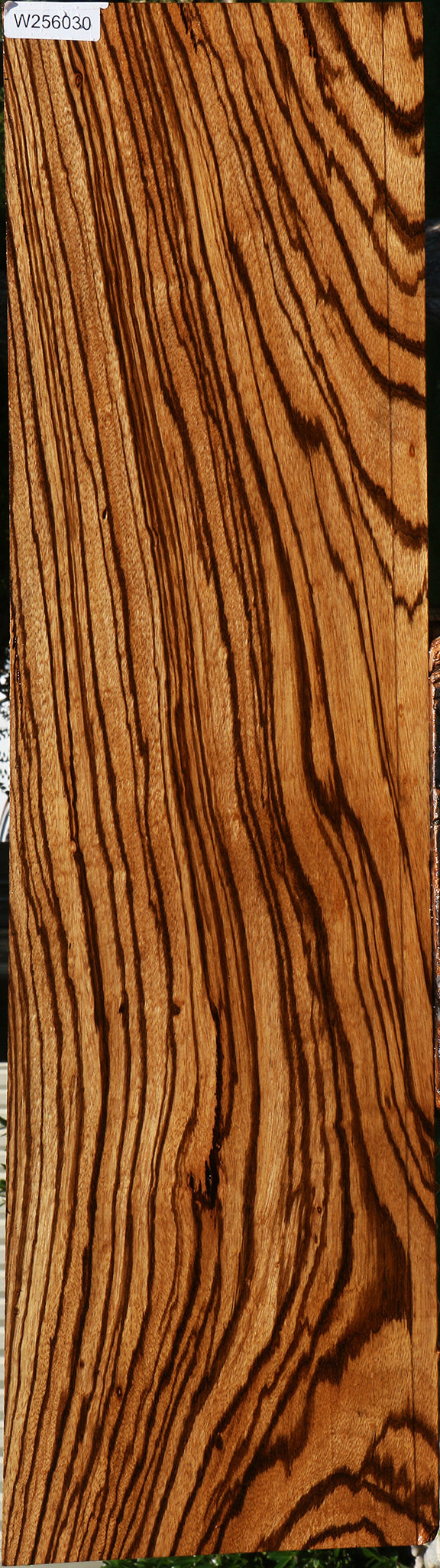 Figured Zebrawood Lumber