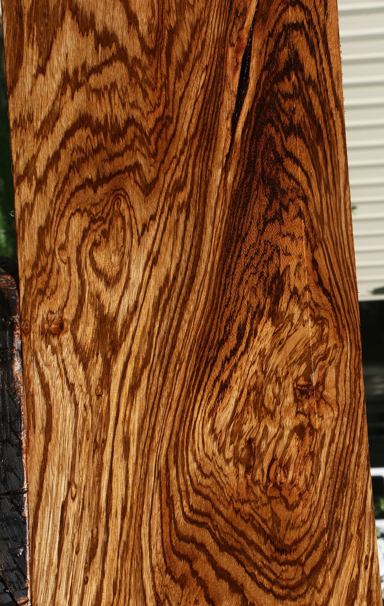 Extra Fancy Zebrawood Lumber