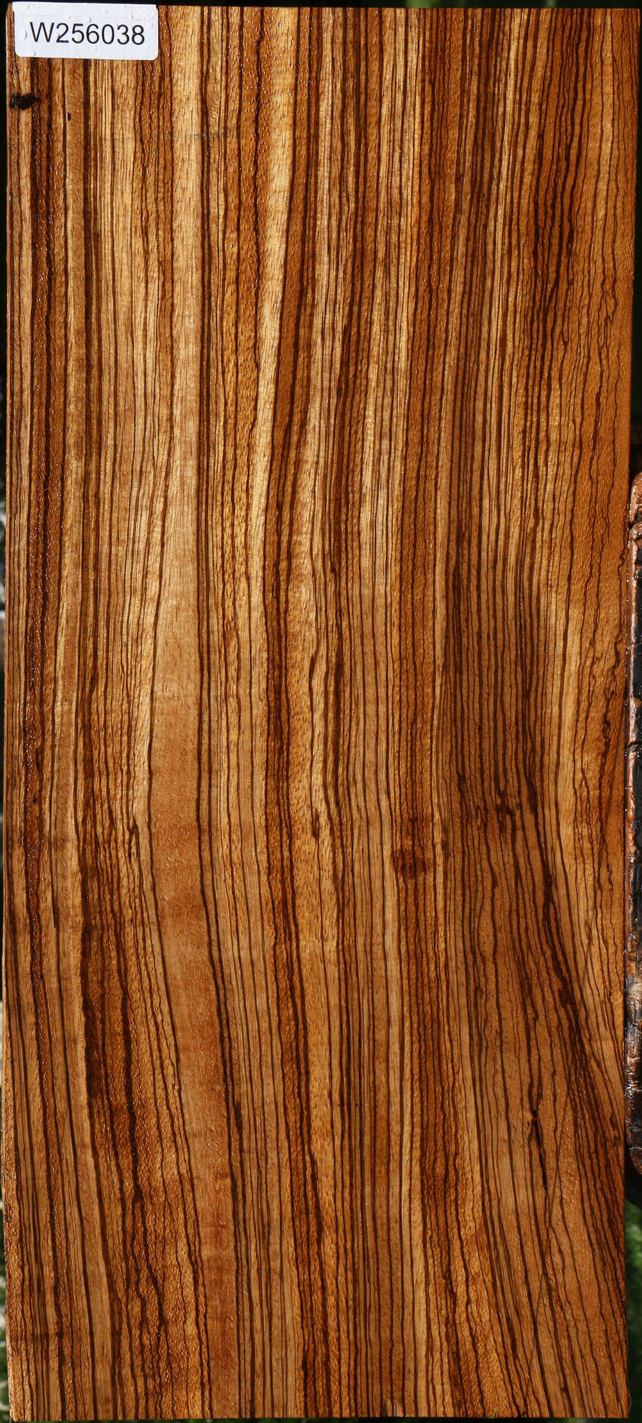Figured Quartersawn Zebrawood Lumber