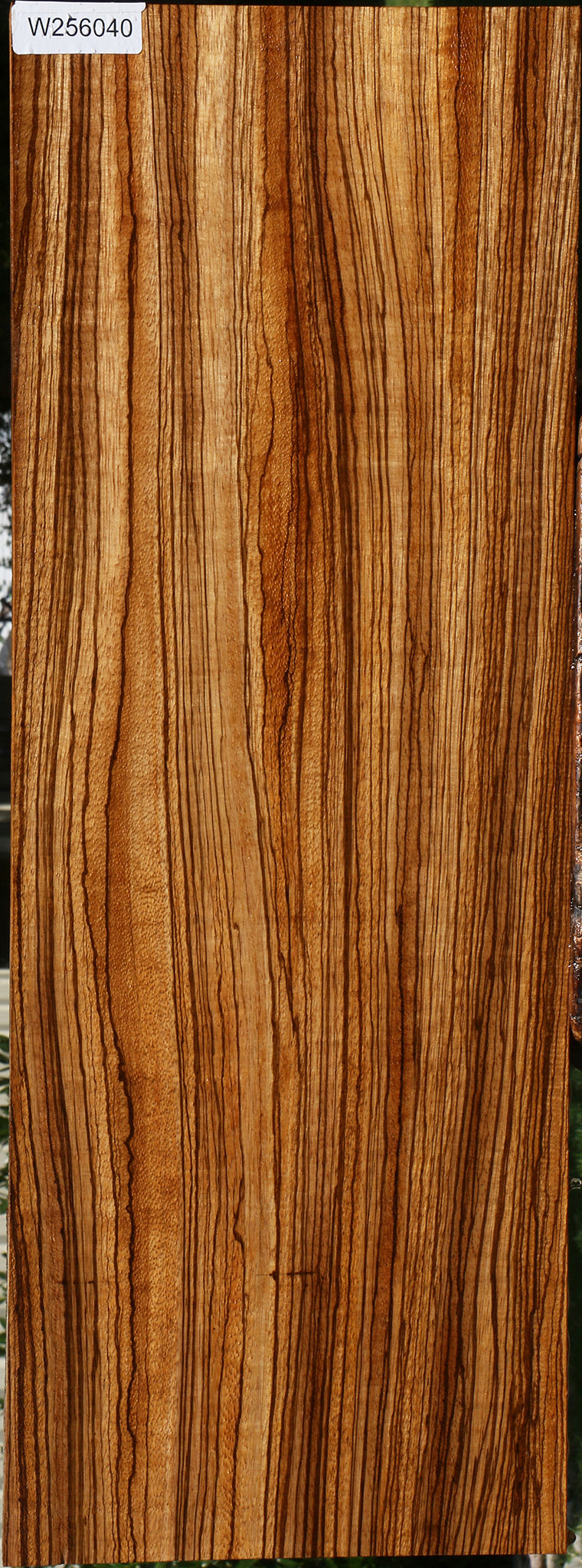 Figured Quartersawn Zebrawood Instrument Lumber