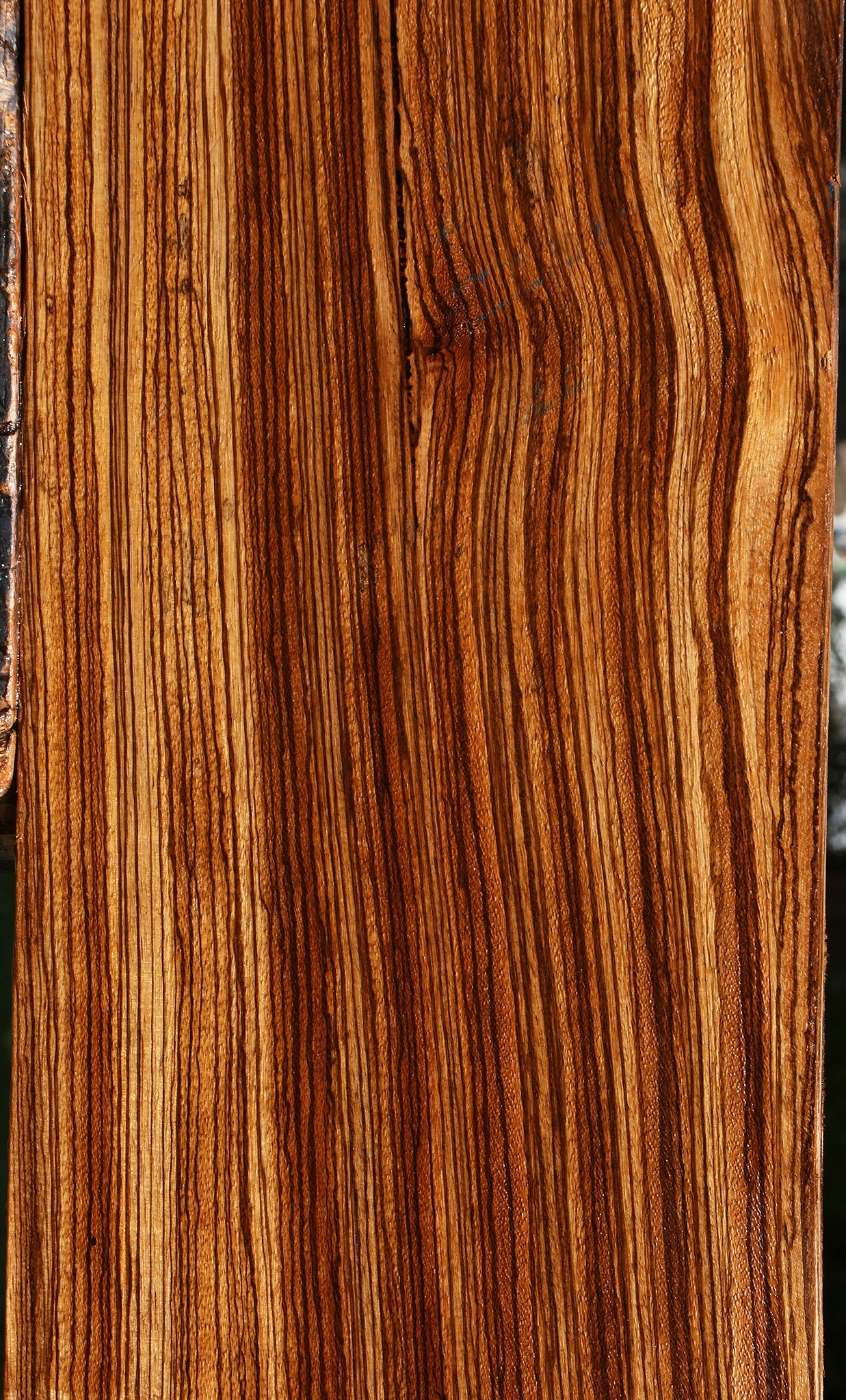 Quartersawn Zebrawood Lumber